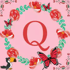 q images dp